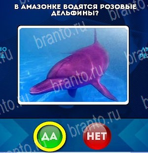 Да или Нет игра помощь Уровень 5175