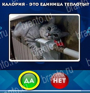 игра Да или Нет помощь Уровень 5179