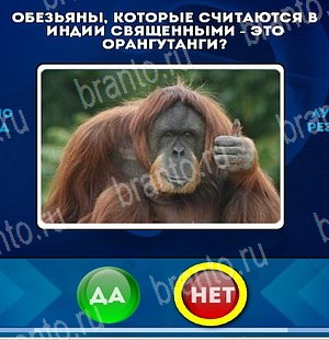 Да или Нет ответы в картинках Уровень 5186