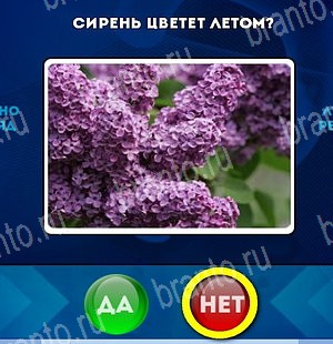 ответы на игру в одноклассниках Да или Нет Уровень 5196