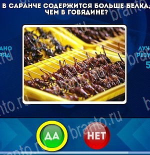 игра Да или Нет помощь Уровень 5209