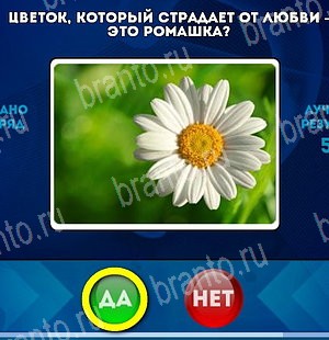 Да или Нет решения Уровень 5212