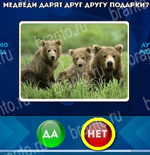 Подсказки на игру Да или Нет Уровень 5222