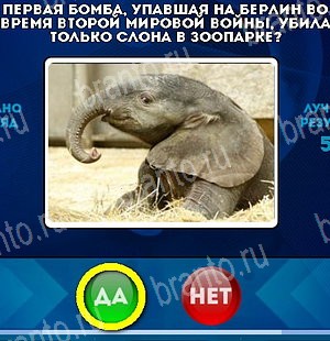 Да или Нет подсказки в контакте Уровень 5229