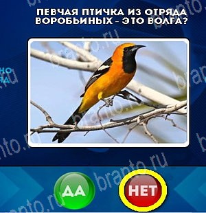 игра Да или Нет помощь Уровень 5239