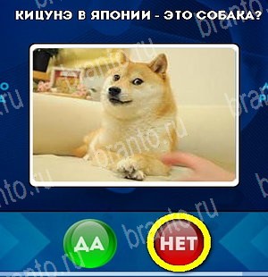 Да или Нет игра помощь Уровень 5245
