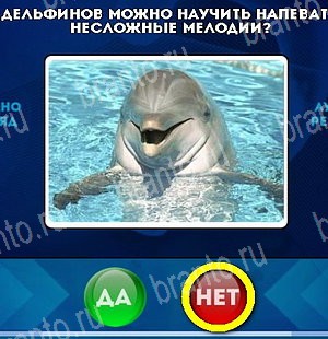 игра Да или Нет помощь Уровень 5249