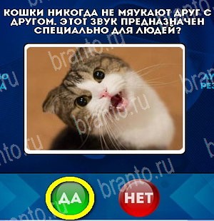Решения на игру Да или Нет Уровень 5253
