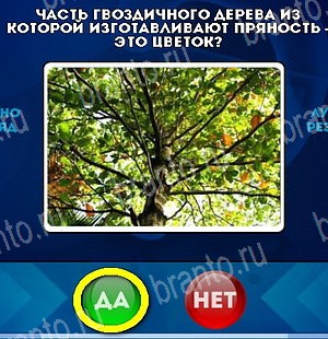 Игра Да или Нет подсказки Уровень 5268