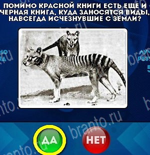 игра Да или Нет помощь Уровень 5269