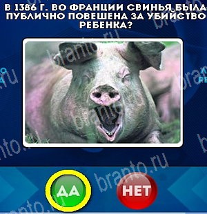 Да или Нет ответы в картинках Уровень 5276