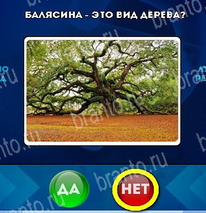 игра Да или Нет ответ на Уровень 5280