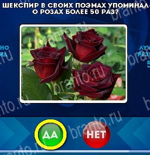 ответы к игре Да или Нет Уровень 5285