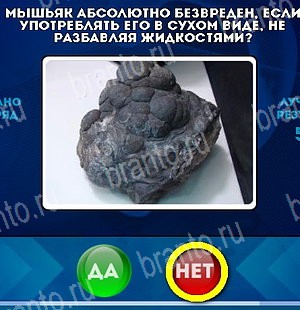 Игра Да или Нет ответы Уровень 5297