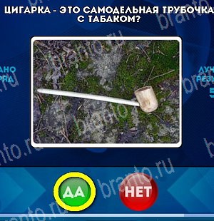 Да или Нет решения Уровень 5302