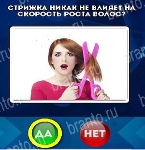 Решения на игру Да или Нет Уровень 5313