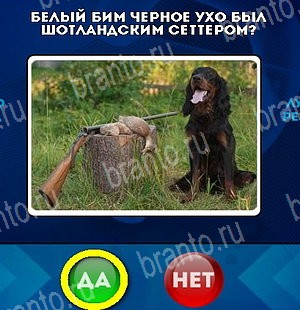 Да или Нет игра ответы в одноклассниках Уровень 5317