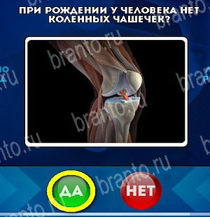 Одноклассники Да или Нет ответы Уровень 5318