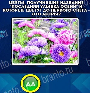 Да или Нет решения Уровень 5322