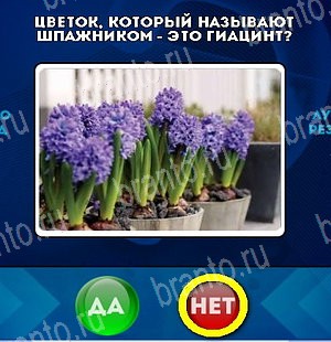 игра Да или Нет ответ на Уровень 5330