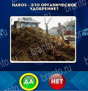 Да или Нет решения Уровень 5362