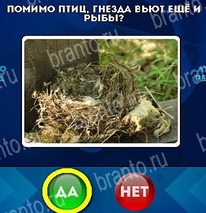 Игра Да или Нет ответы Уровень 5367
