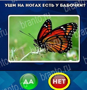 игра Да или Нет ответ на Уровень 5380