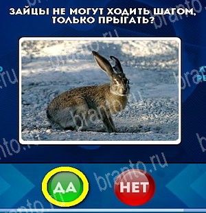 Игра Да или Нет подсказки Уровень 5388