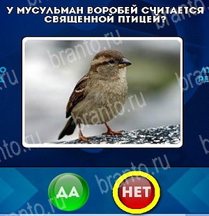 игра Да или Нет ответ на Уровень 5390