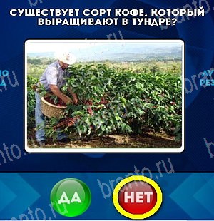 Да или Нет ответы в картинках Уровень 5396
