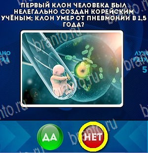 Да или Нет игра ответы Уровень 5423