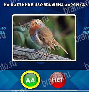 Да или Нет ответы в картинках Уровень 5426