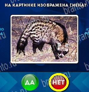 ответы на игру в одноклассниках Да или Нет Уровень 5436