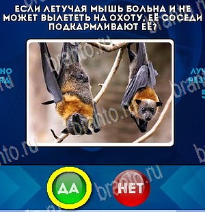 решебник на игру Да или Нет Уровень 5441