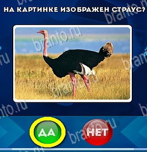 Игра Да или Нет ответы Уровень 5447
