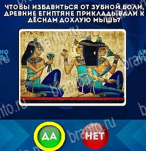 Да или Нет решения Уровень 5452