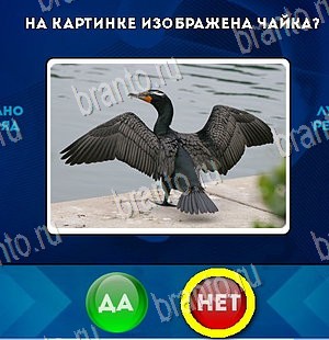 Да или Нет игра подсказки Уровень 5454