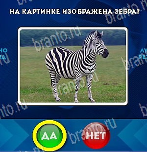 Игра Да или Нет подсказки Уровень 5458
