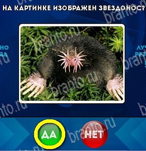 ответы на игру в одноклассниках Да или Нет Уровень 5466