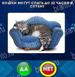 Да или Нет игра ответы в одноклассниках Уровень 5467