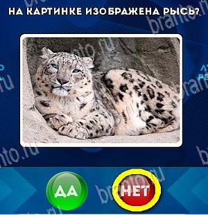 Да или Нет подсказки в контакте Уровень 5469