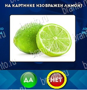 Да или Нет решения Уровень 5472