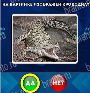 Да или Нет игра помощь Уровень 5475