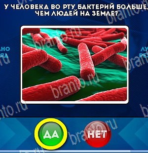 игра Да или Нет помощь Уровень 5479