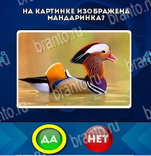 решебник на игру Да или Нет Уровень 5481