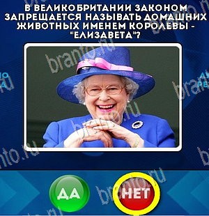 Да или Нет игра подсказки Уровень 5484