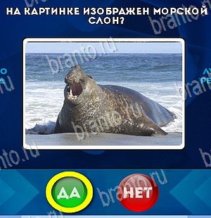 Да или Нет игра помощь Уровень 5485