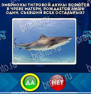 Подсказки на игру Да или Нет Уровень 5492
