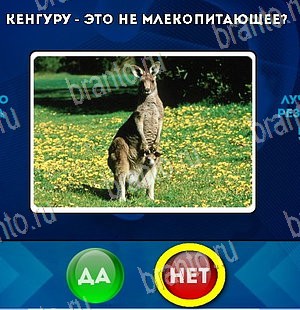 Одноклассники Да или Нет ответы Уровень 5498