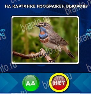 игра Да или Нет ответ на Уровень 5500